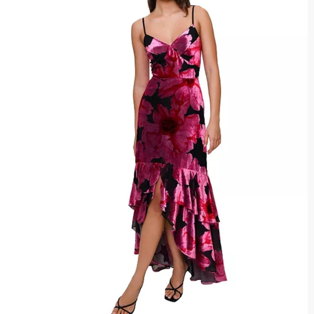 NWT Hutch Royce Hi-Lo Velvet Burnout Dress
